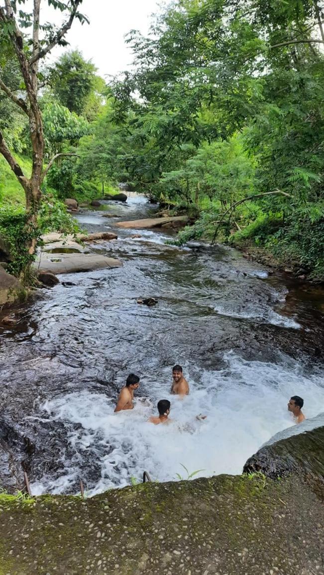 Wildglamps Athirappilly Hotel Kültér fotó